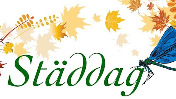 städdag